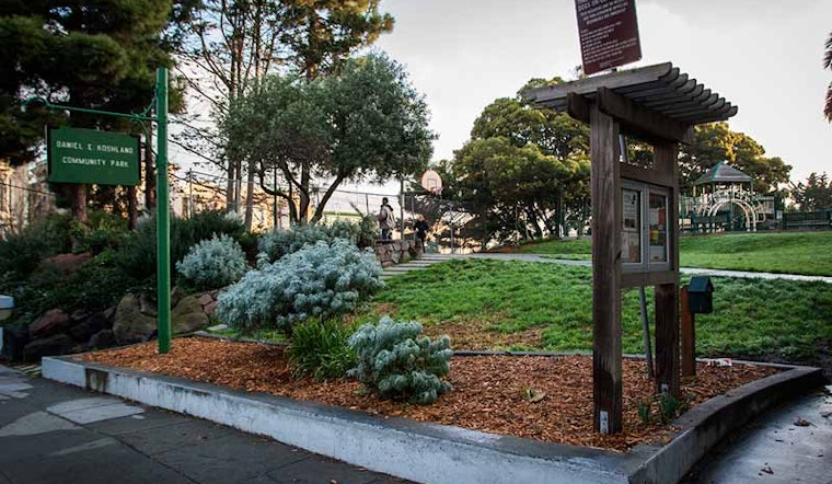 Help Clean Up Koshland Park Today