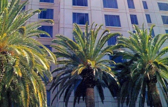 Top San Jose news: Body found on freeway on-ramp; county employees resume strike; more
