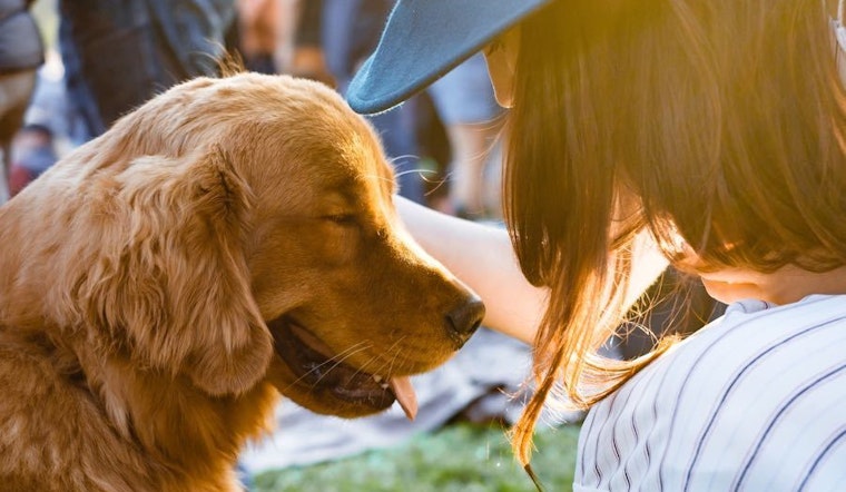 Go free this week with these 3 no-cost events in San Antonio