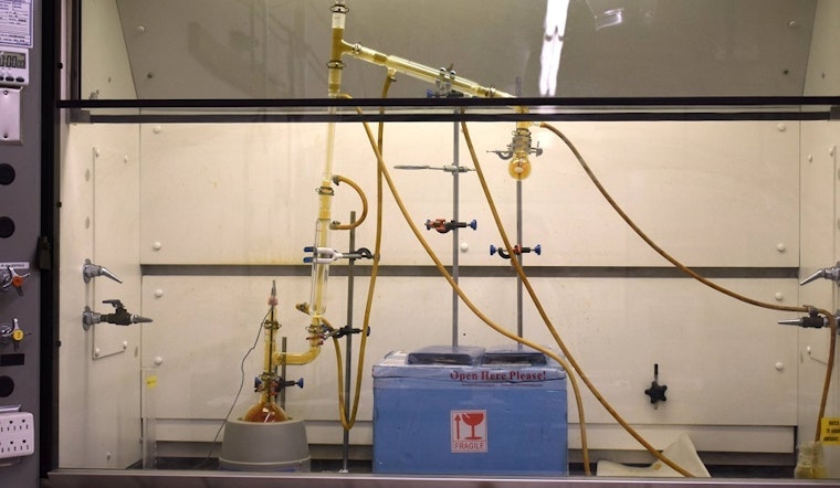 Amped Innovation and BioCellection top San Jose's recent funding news