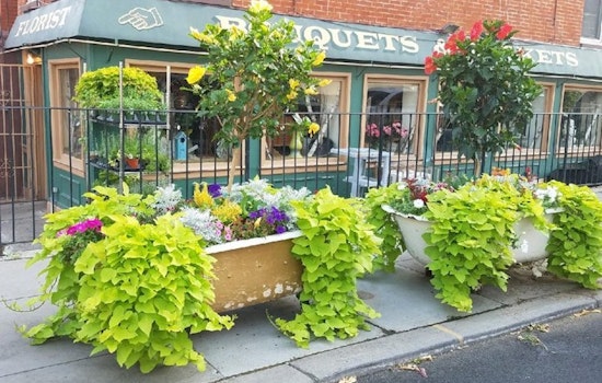 The 5 best flower shops in Jersey City