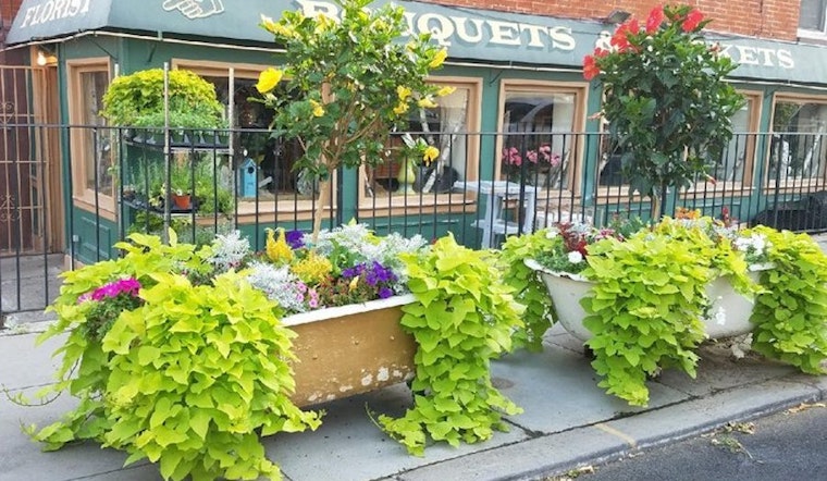 The 5 best flower shops in Jersey City
