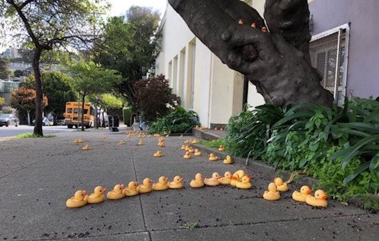 Rubber Ducks Appear Outside Noe Valley Elementary School