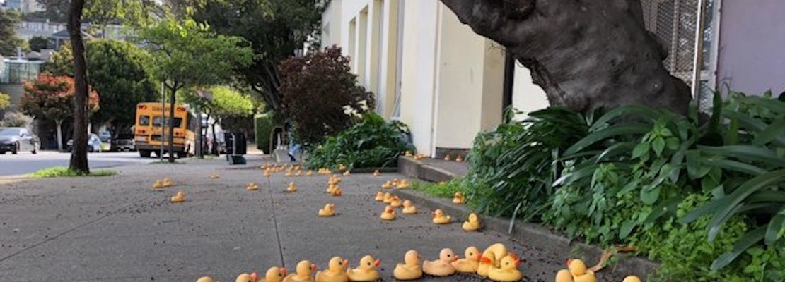 Rubber Ducks Appear Outside Noe Valley Elementary School