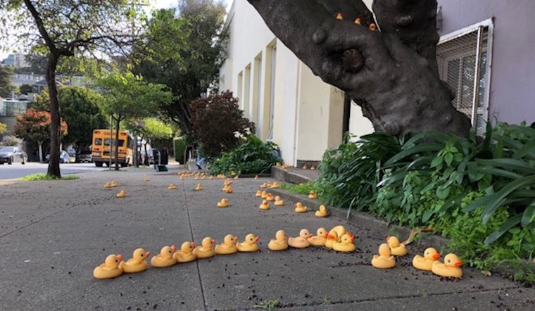 Rubber Ducks Appear Outside Noe Valley Elementary School