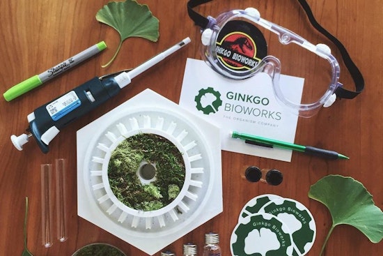 Ginkgo Bioworks' $290 million financing tops recent funding news in Boston