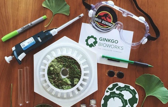 Ginkgo Bioworks' $290 million financing tops recent funding news in Boston