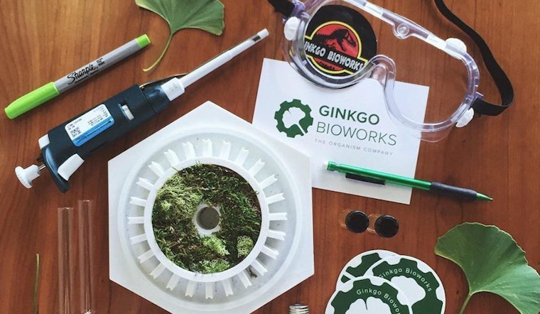 Ginkgo Bioworks' $290 million financing tops recent funding news in Boston