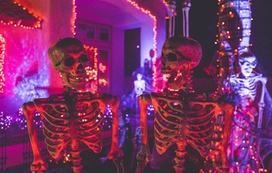 4 Halloween events to plan for in Boston this weekend