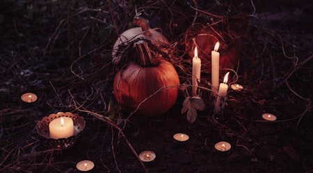 Halloween and fall events in Louisville this week