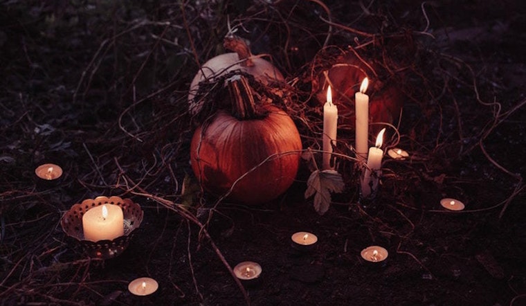 Halloween and fall events in Louisville this week
