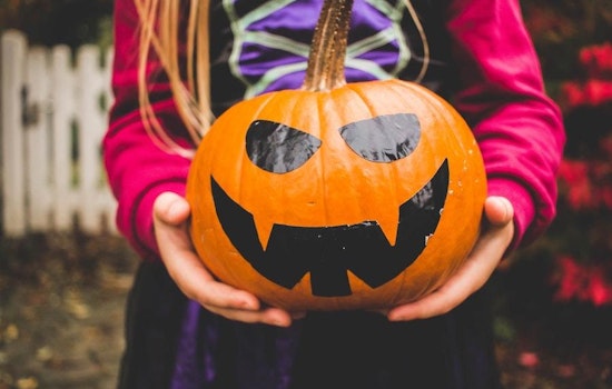 4 intriguing family and learning events in New York City this weekend