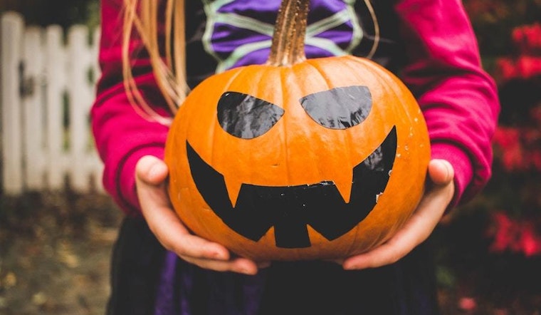 4 intriguing family and learning events in New York City this weekend