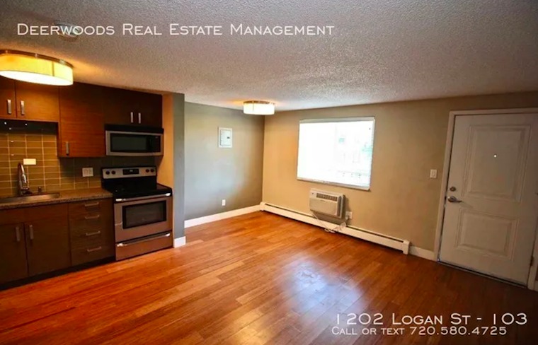 What apartments will $1,300 rent you in Capitol Hill, right now?