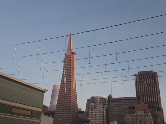 Neighborhood Groups Light Up North Beach
