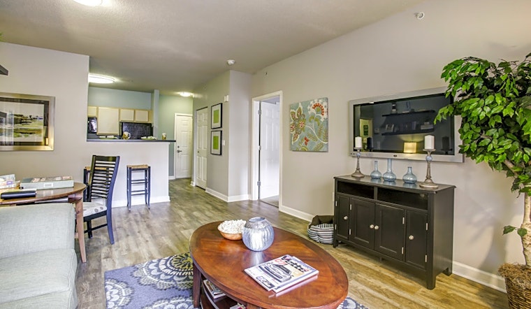 Budget apartments for rent in Downtown Baltimore