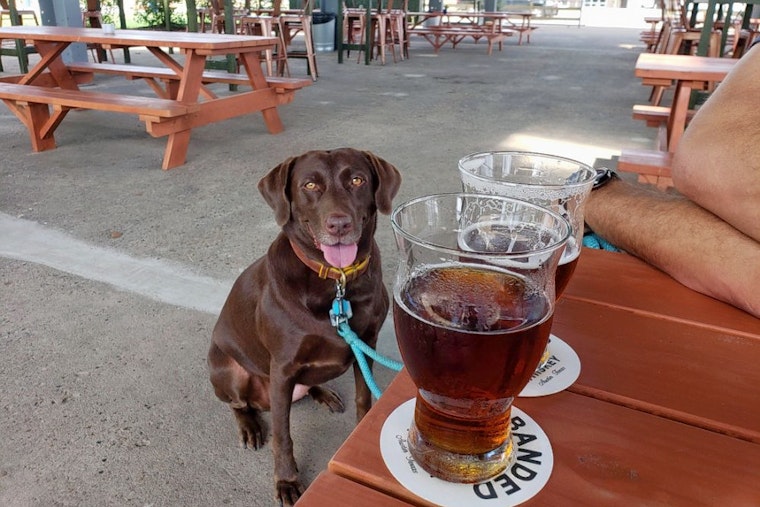 New bar Powder Keg now open in Spring Branch West