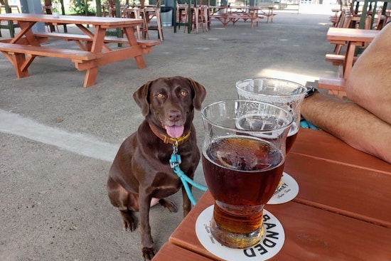 New bar Powder Keg now open in Spring Branch West