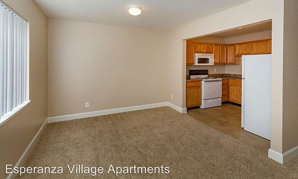 What apartments will 1,100 rent you in Southeast Colorado Springs,