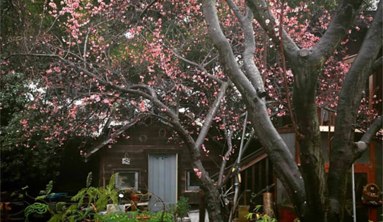 Fruitvale's 'Canticle Farm' Raises Food, Spirits