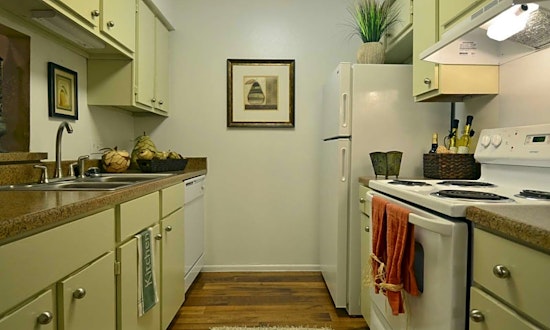 What apartments will $1,100 rent you in Alamo Farmsteads-Babcock Road, right now?