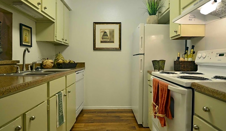 What apartments will $1,100 rent you in Alamo Farmsteads-Babcock Road, right now?