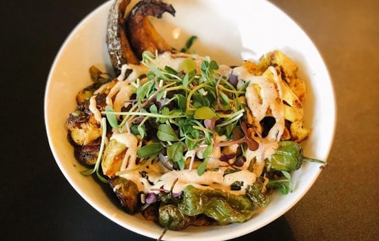 Here are the newest businesses to launch in Phoenix