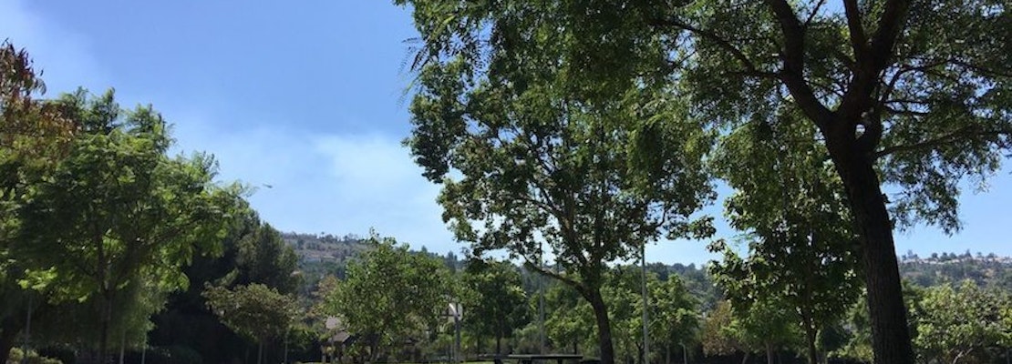 The 5 best parks in Anaheim