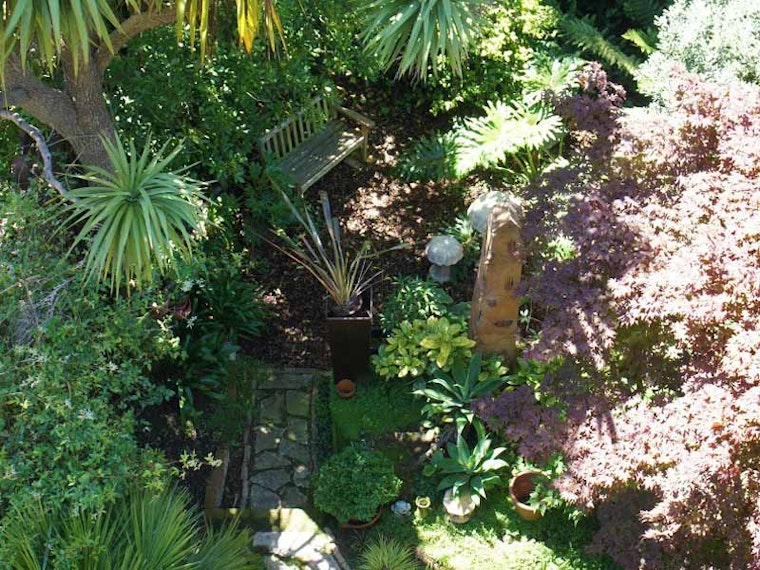Backyards of the Lower Haight, Part Five