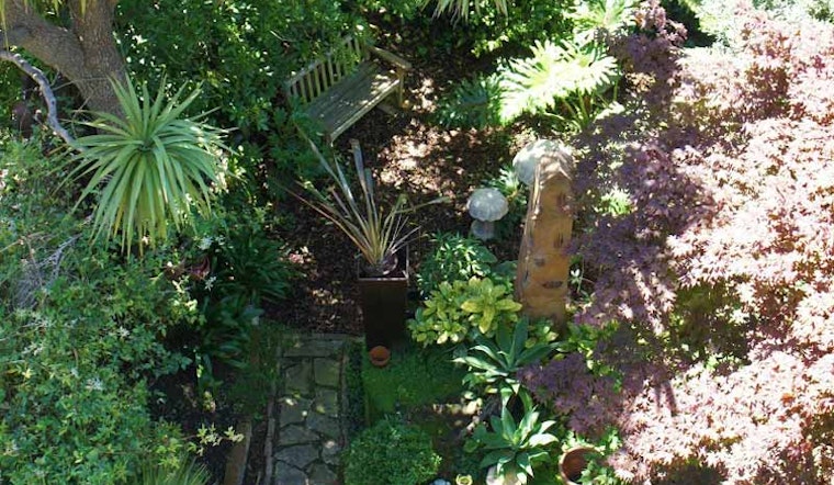 Backyards of the Lower Haight, Part Five