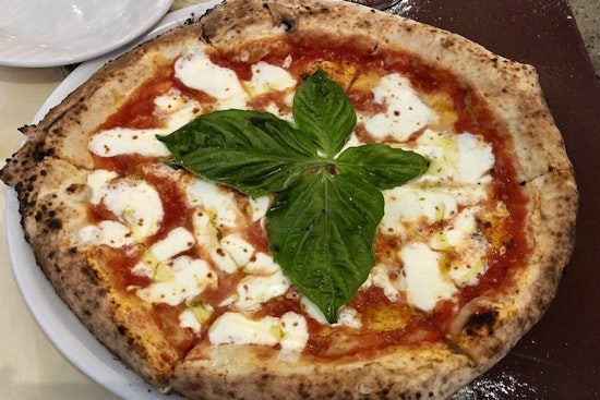 Your guide to the 5 most popular spots in Tampa's Virginia Park neighborhood