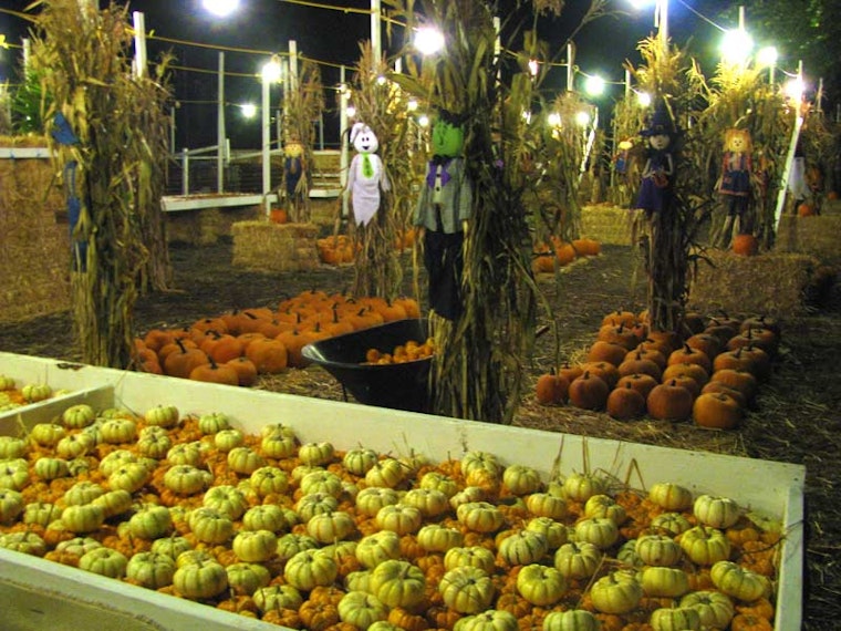 Signs Of Fall: Pumpkin Patch Open For The Season