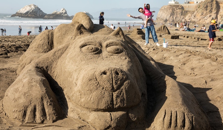 Scenes from the 37th Leap Sandcastle Classic