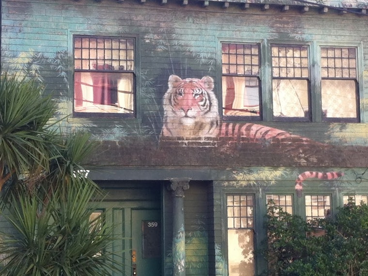 Friday Photo Quiz; Lady or the Tiger
