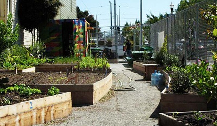 End Nears For Community Garden On Octavia