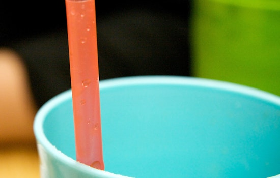 Councilmember Guillén Proposes Limits On Plastic Straws In Restaurants