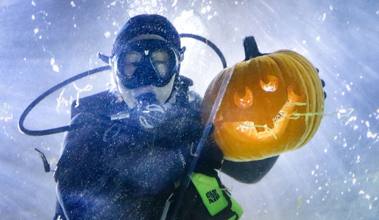 SF weekend: Halloween festivities, rescue animal fair, free science event at Oracle Park, more