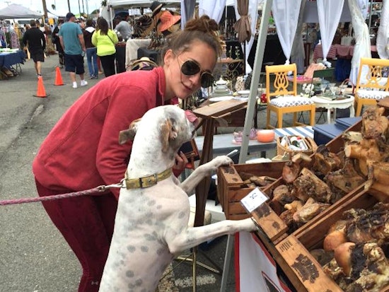 Oakland Weekend: Next Friday, Second Saturday, Uptown Beer Walk, More