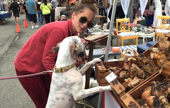 Oakland Weekend: Next Friday, Second Saturday, Uptown Beer Walk, More