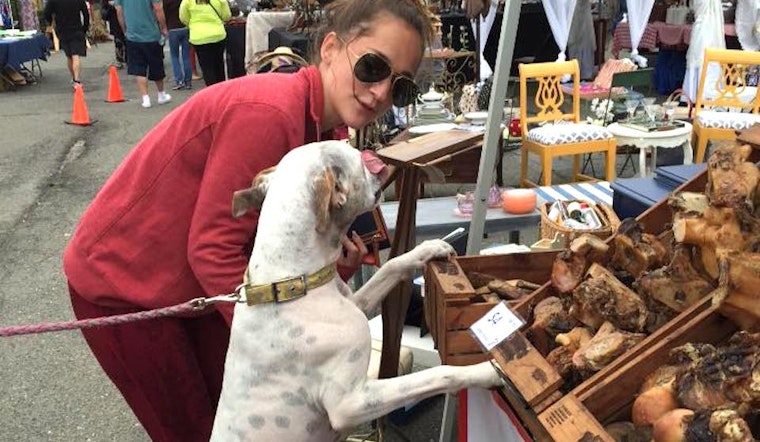 Oakland Weekend: Next Friday, Second Saturday, Uptown Beer Walk, More
