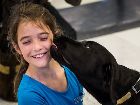 SFO Wag Brigade & BART Airport Connections Lick Stress Out Of Airline Travel [Sponsored]