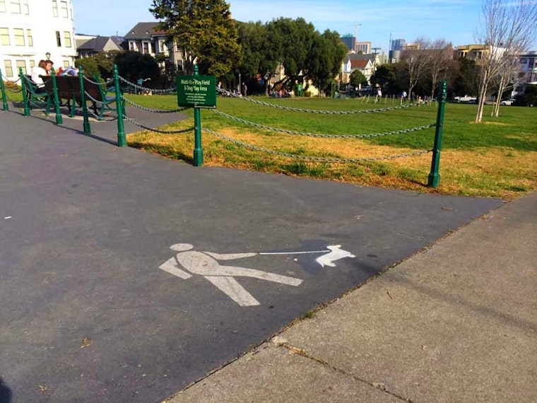 Adorable Dog Stencils Appear In Duboce Park