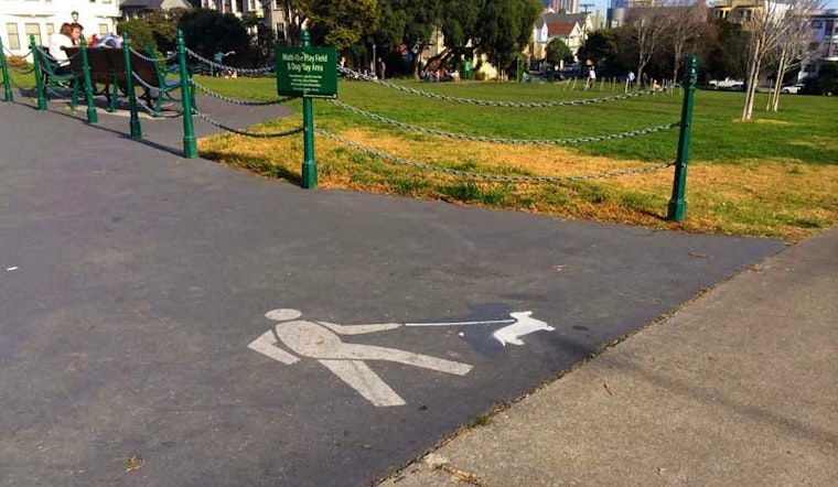 Adorable Dog Stencils Appear In Duboce Park