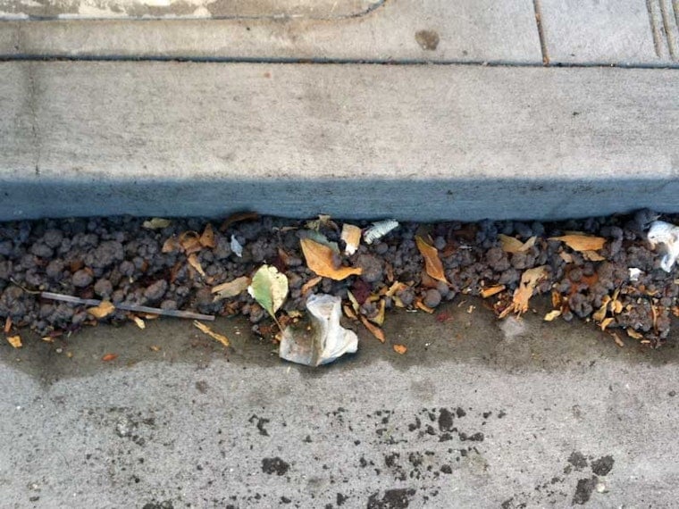 It's Raining Lint At Hayes And Webster