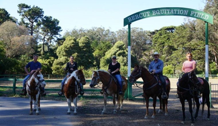 After 18 years, Golden Gate Park's horse program rides again