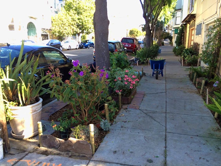 More Sidewalk Gardens Installed