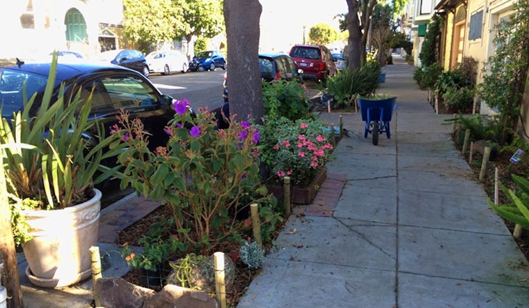 More Sidewalk Gardens Installed