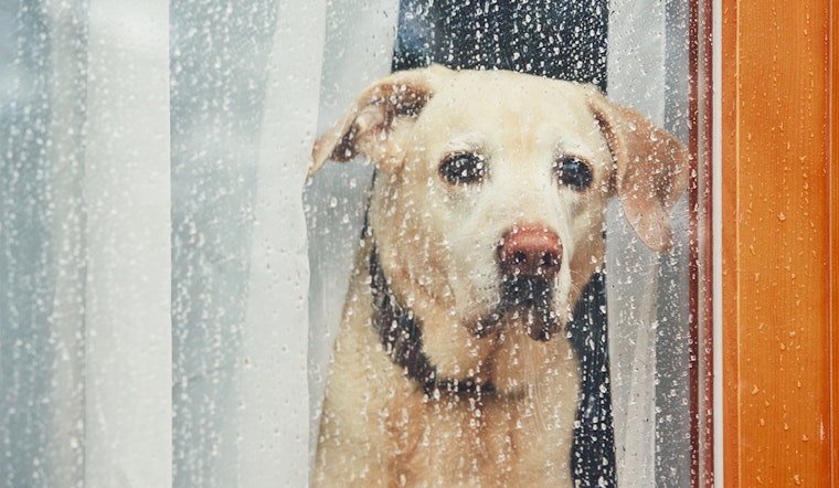 Your weather today in Cleveland