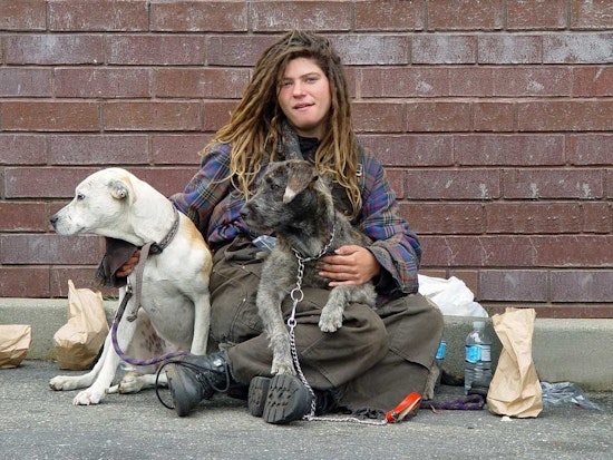 Dog Attacks On Haight Street