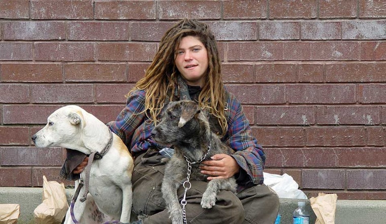 Dog Attacks On Haight Street